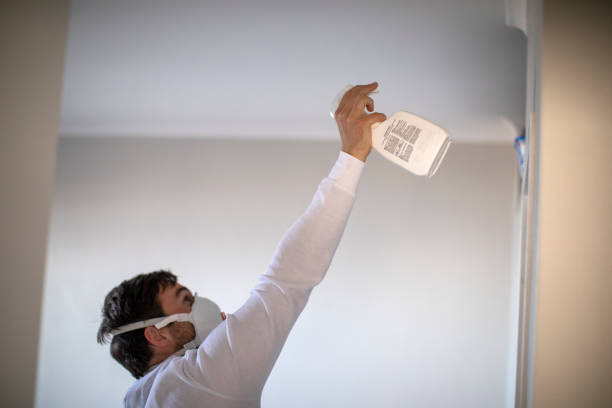 Best Mold Cleaning Services  in Goldstream, AK