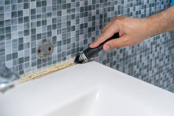 Best Attic Mold Removal  in Goldstream, AK