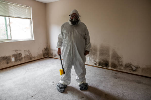 Best Mold Removal Company Near Me  in Goldstream, AK